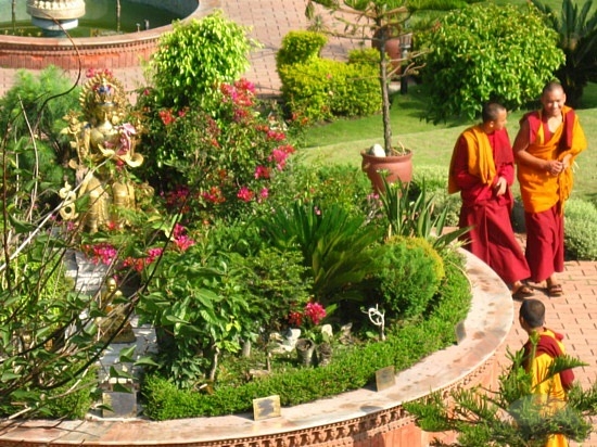 monks-in-the-buddha-garden-thimi